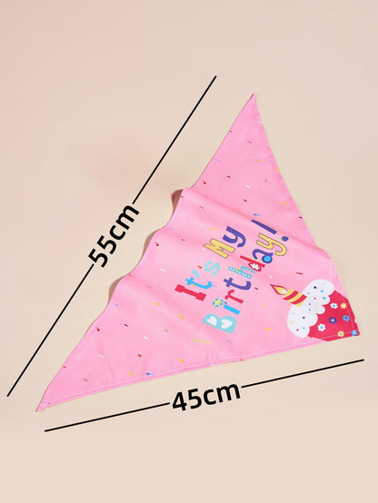 The Birthday Bandana Bib