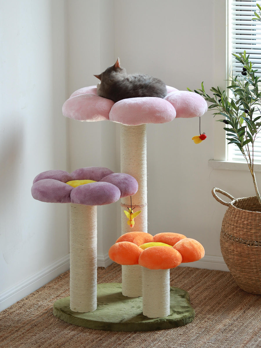 The Elevated Play Perch