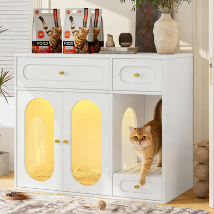 The Lumière Litter Box Enclosure